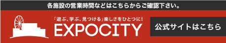 エキスポシティ,WEBサイト